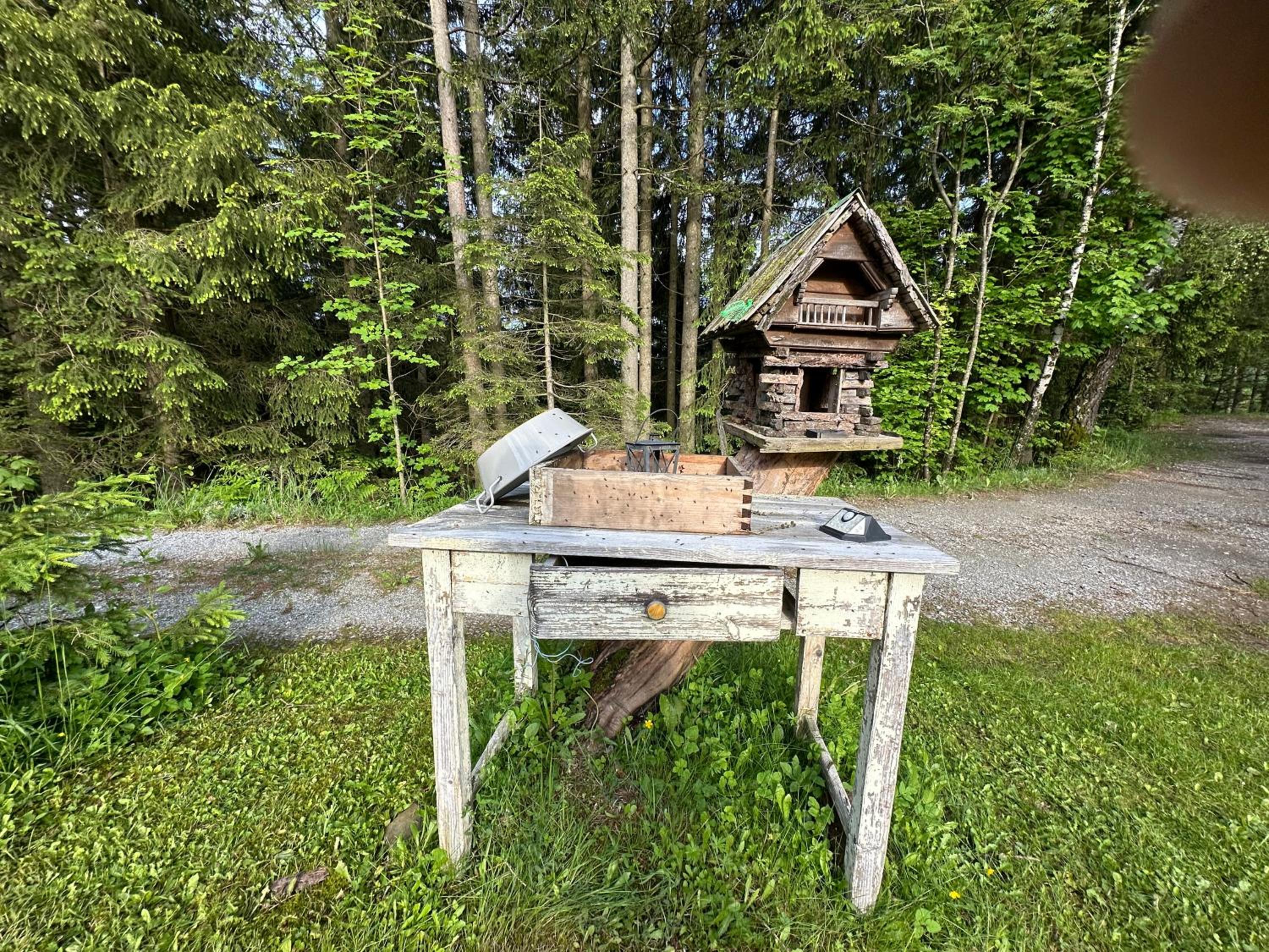 Ferienhaus im Wald