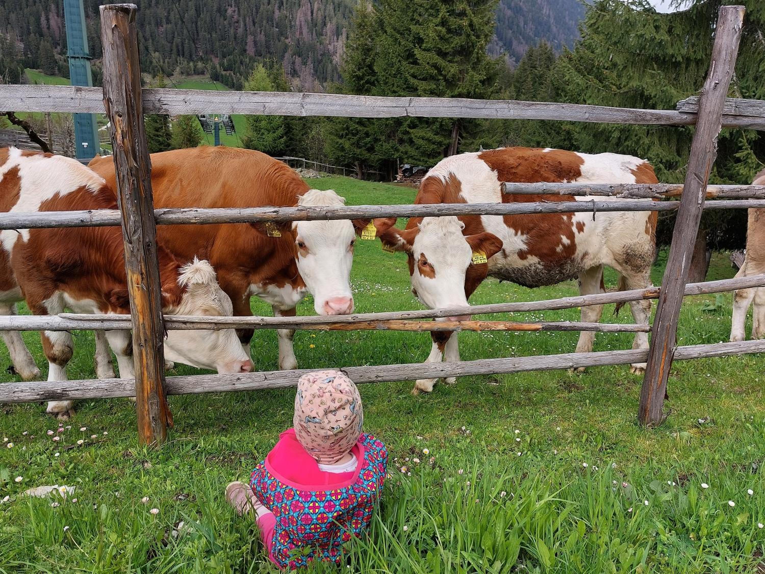 Blosegghof Bergchalets Talblick