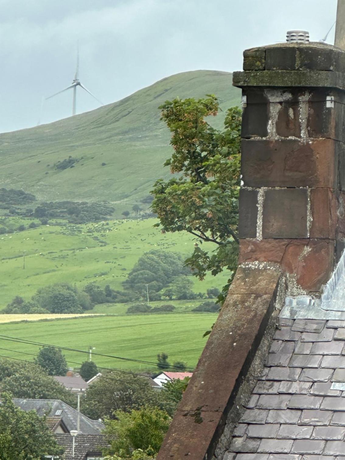 Peel House Bed and Breakfast view 3
