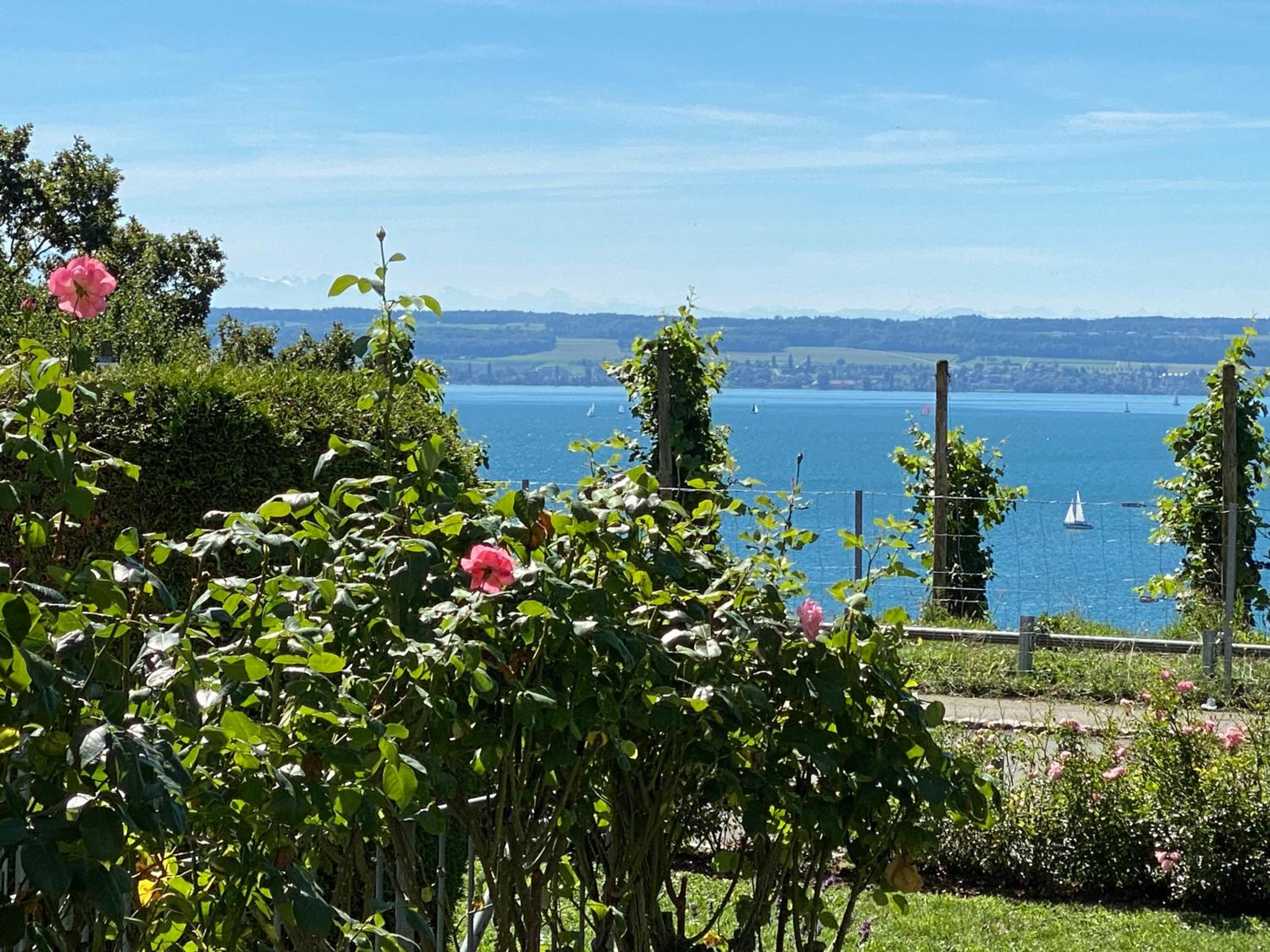 Atelierhaus Meersburg view 5
