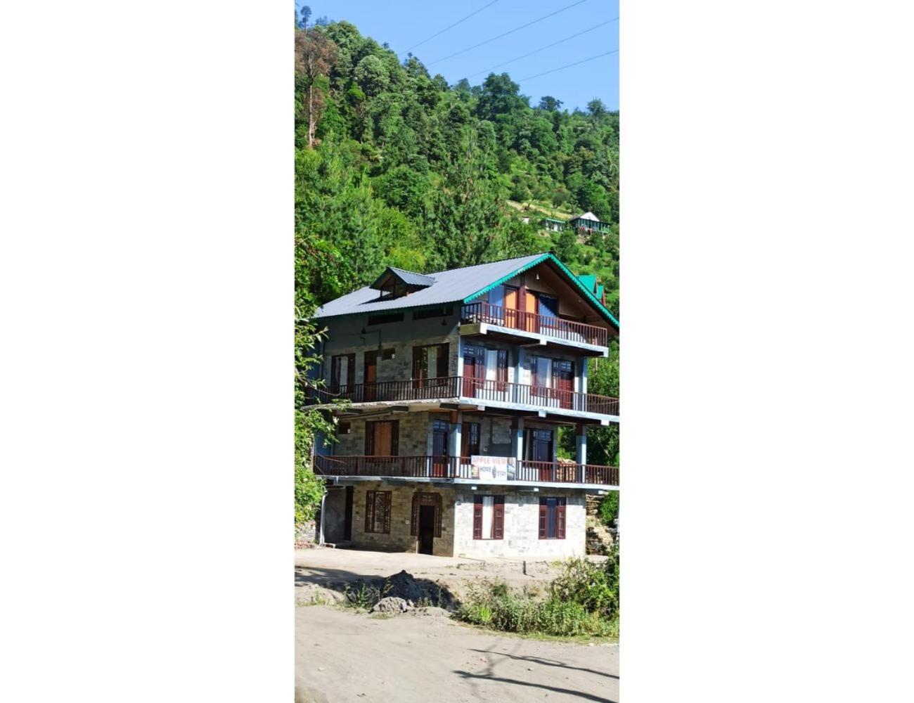Apple View Home Stay, Jibhi view 5