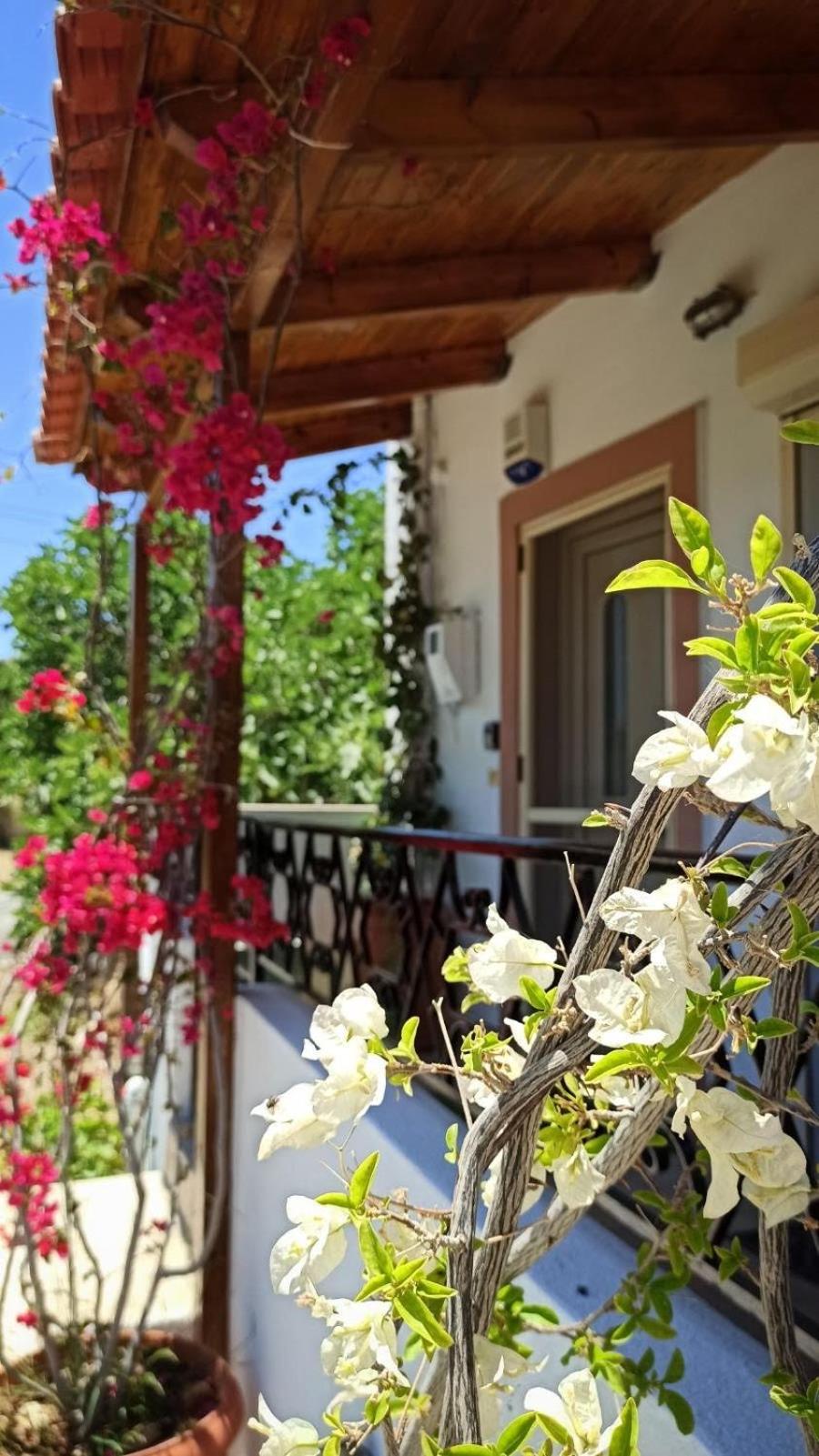 Ontas cozy home