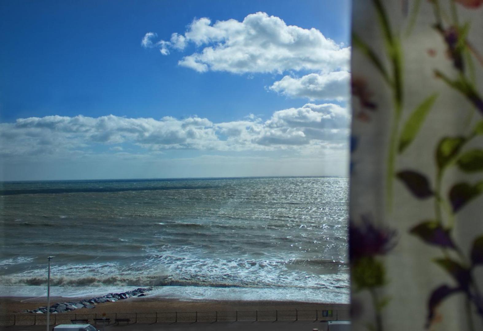 The Seagulls Nest - Hastings