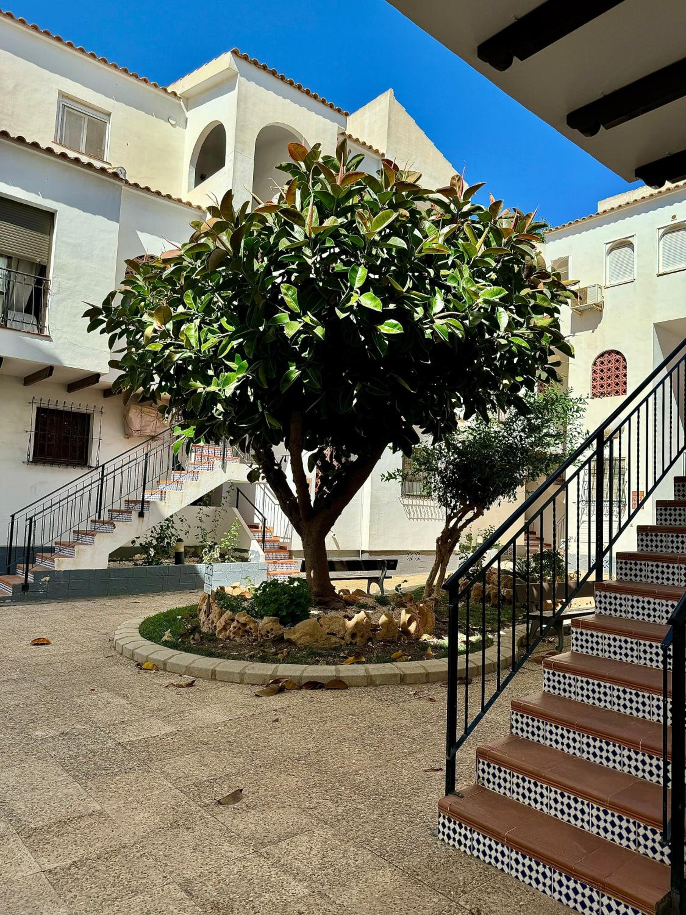 Casa Mia Torrevieja