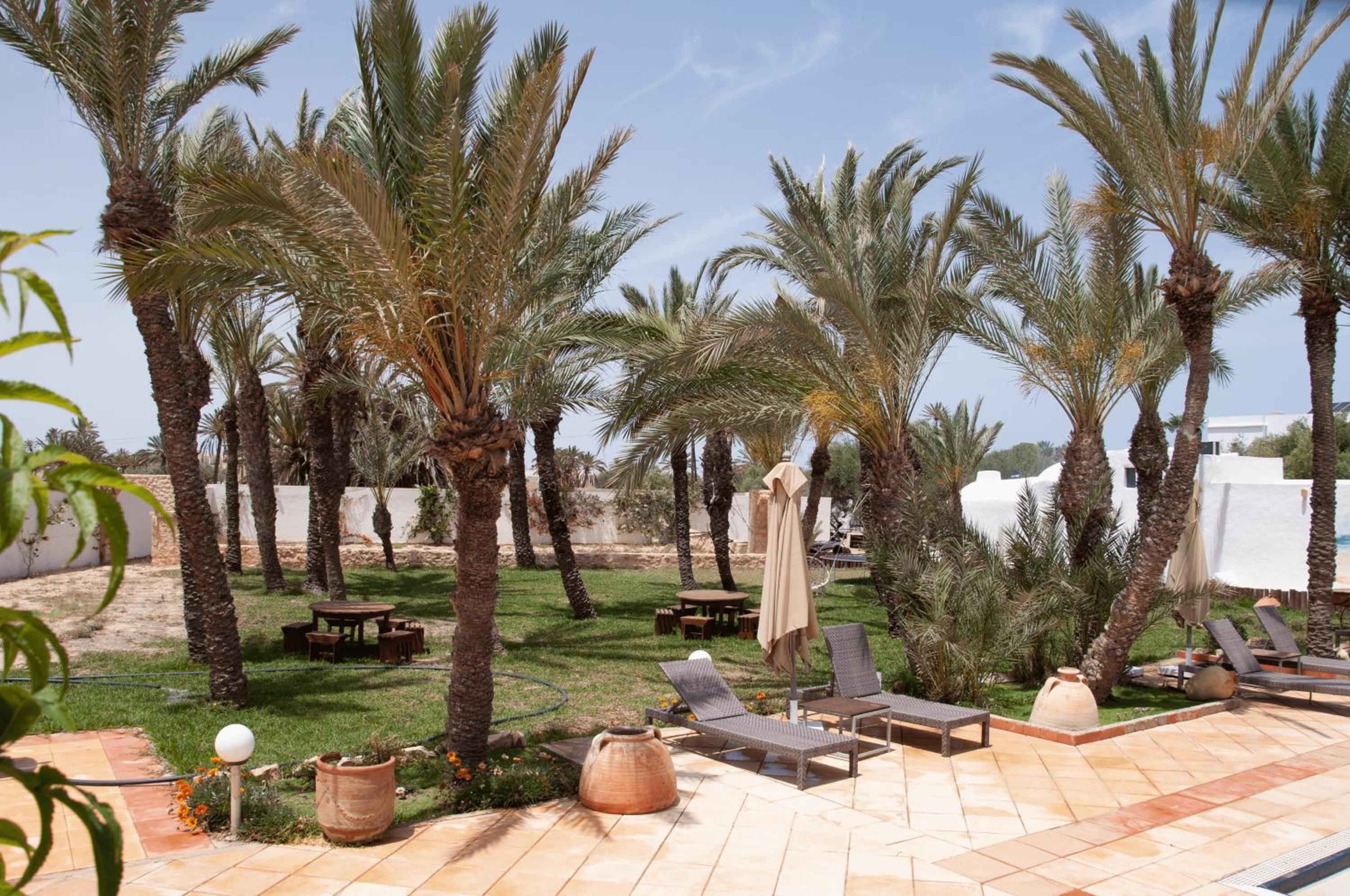 Le Patio de Mezraya