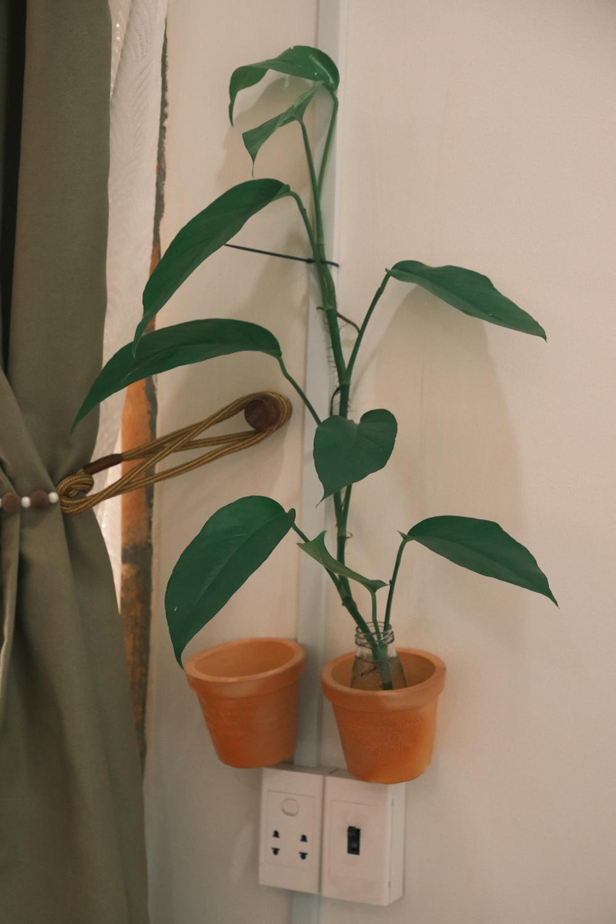 Photo 41
