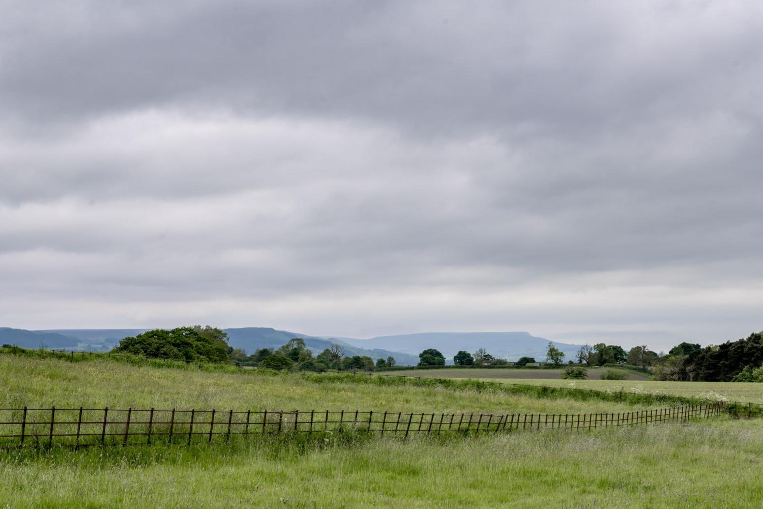 Pasture House