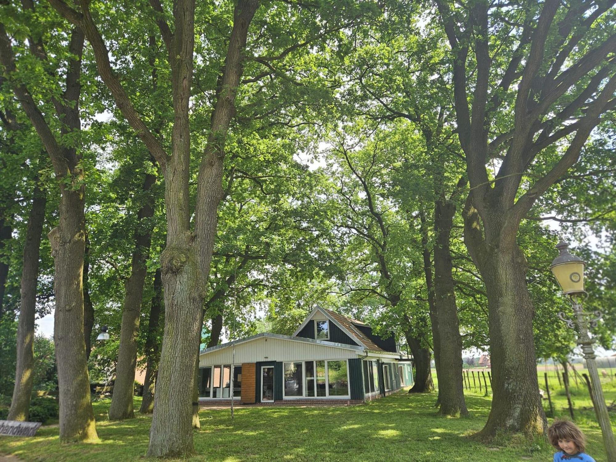 Ferienhaus Banana Lodge