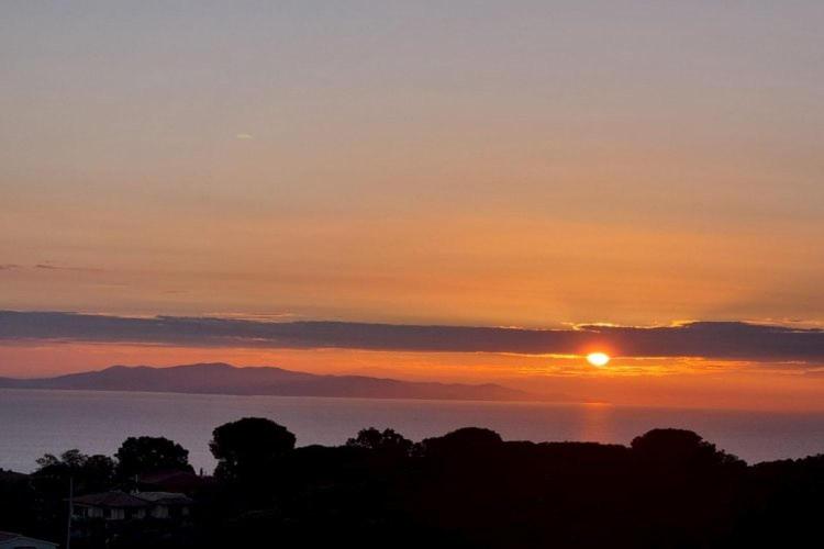 Photo 69