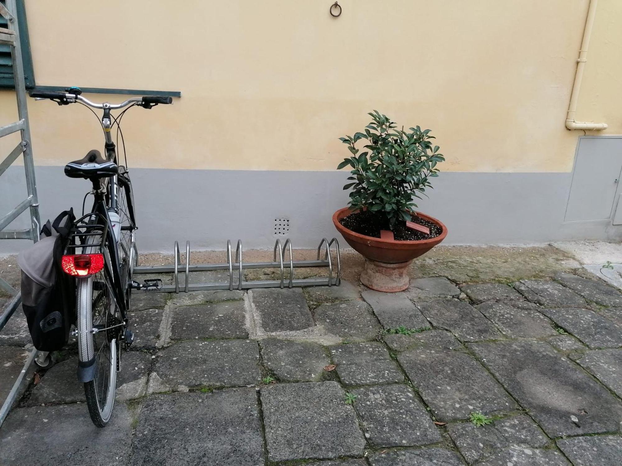 Photo 45