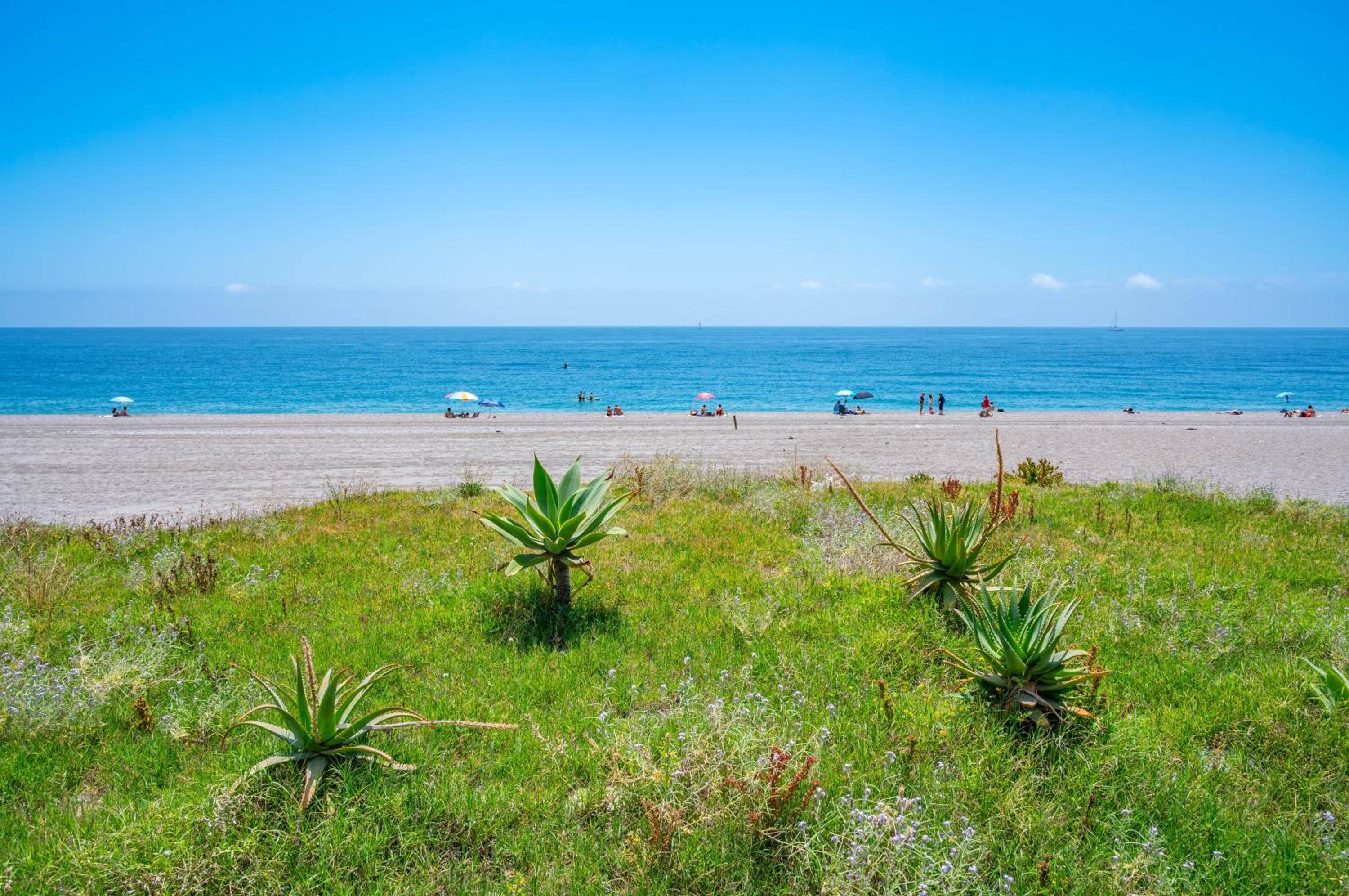GuestHost - Seaside Flat Just Steps from the Beach view 4