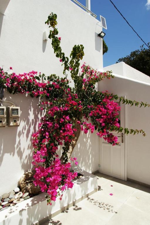 Luxury Apartments Southcrete