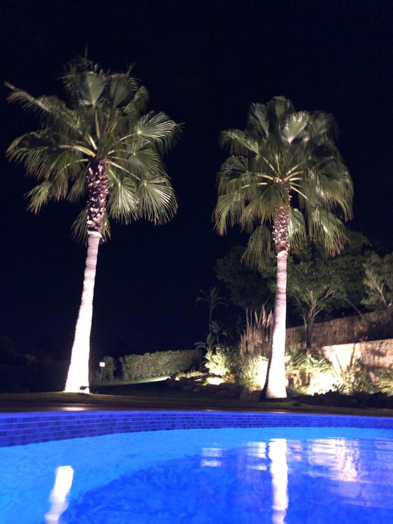 Palm Tree Golfers Retreat With Private Pool view 2