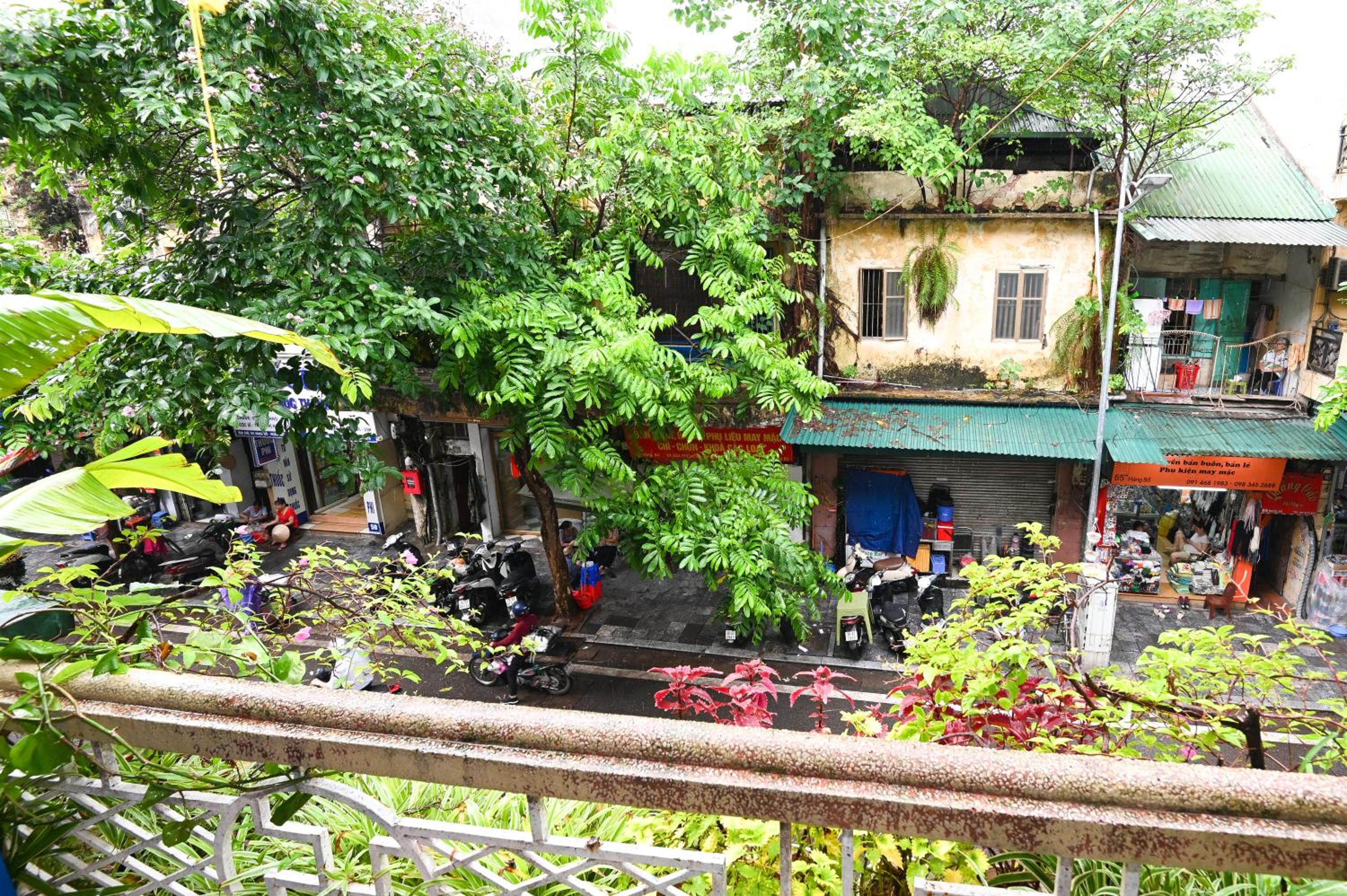 Sunny Hanoi Homestay