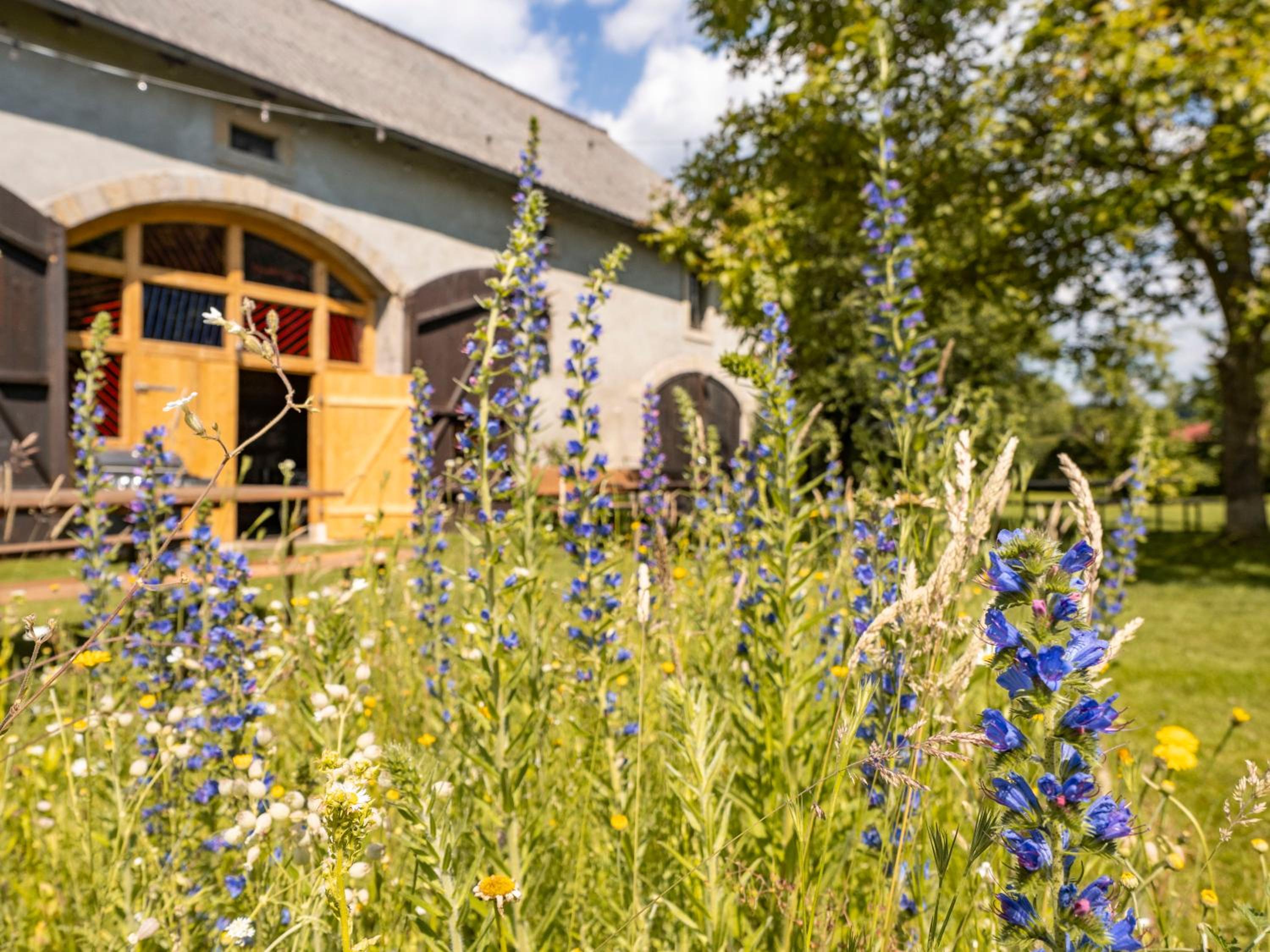 Hinterland Hostel