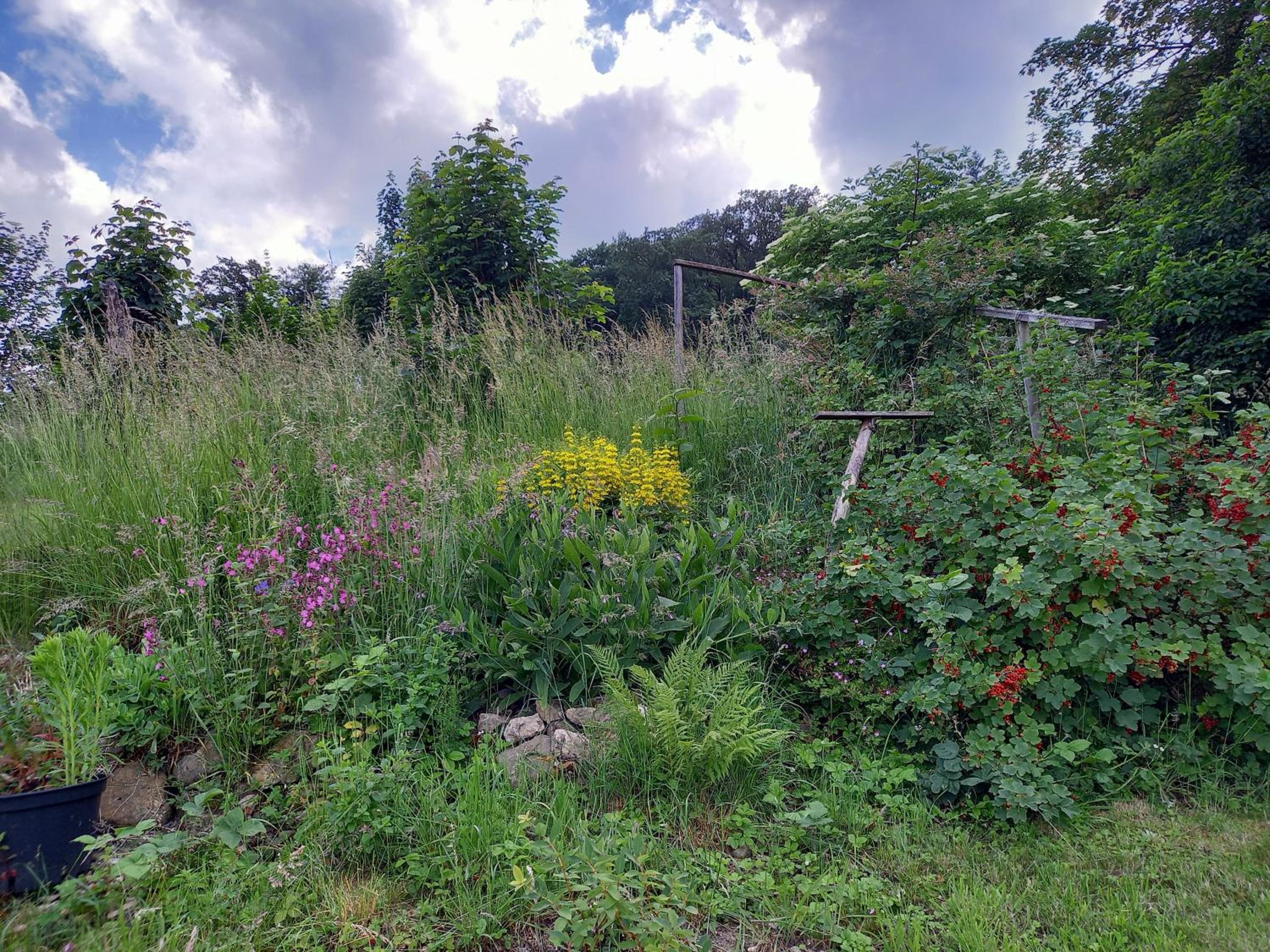 Elfenhäuschen mit 3 DTV Sternen ausgezeichnet