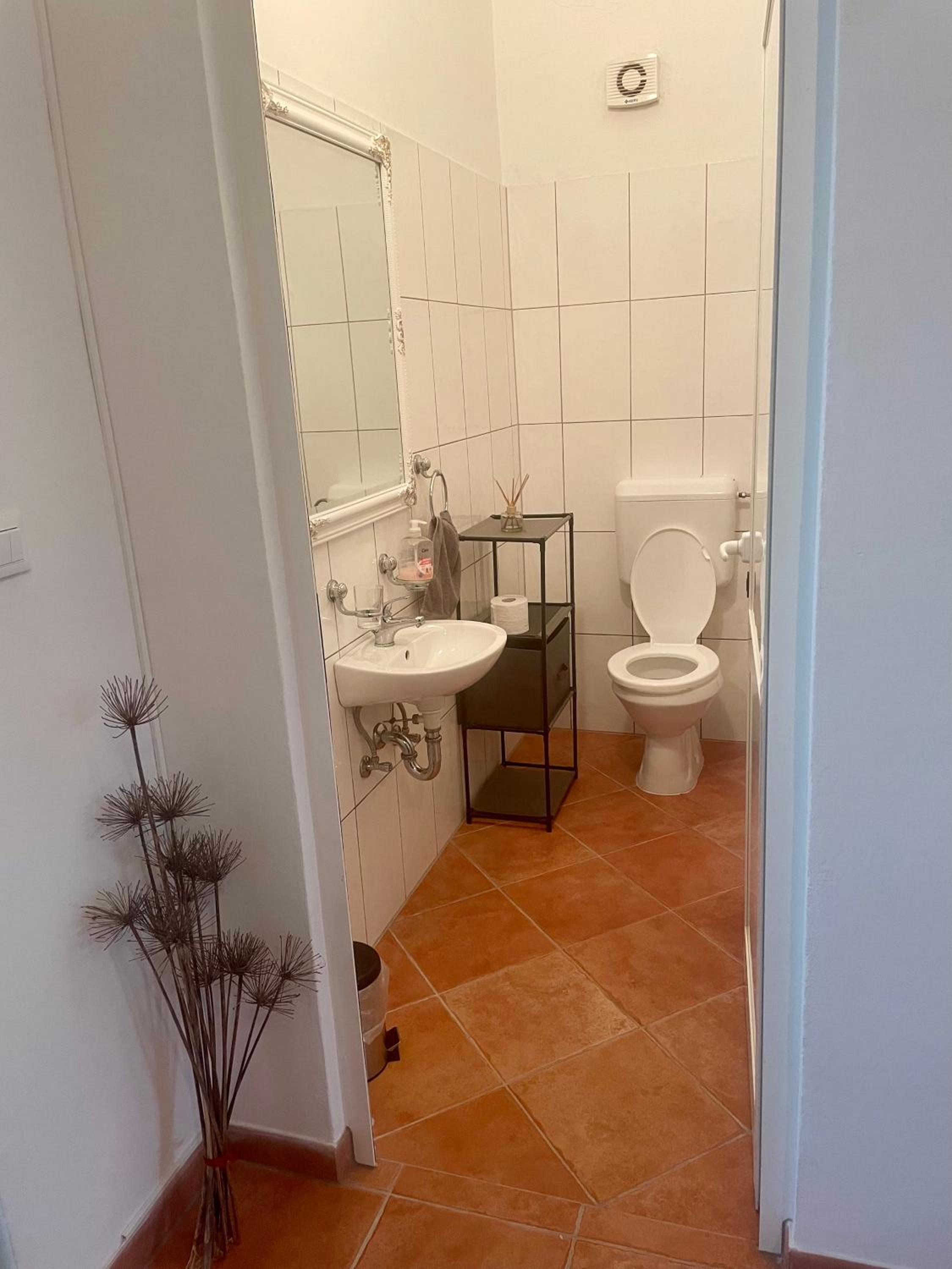 Spacious Apartment