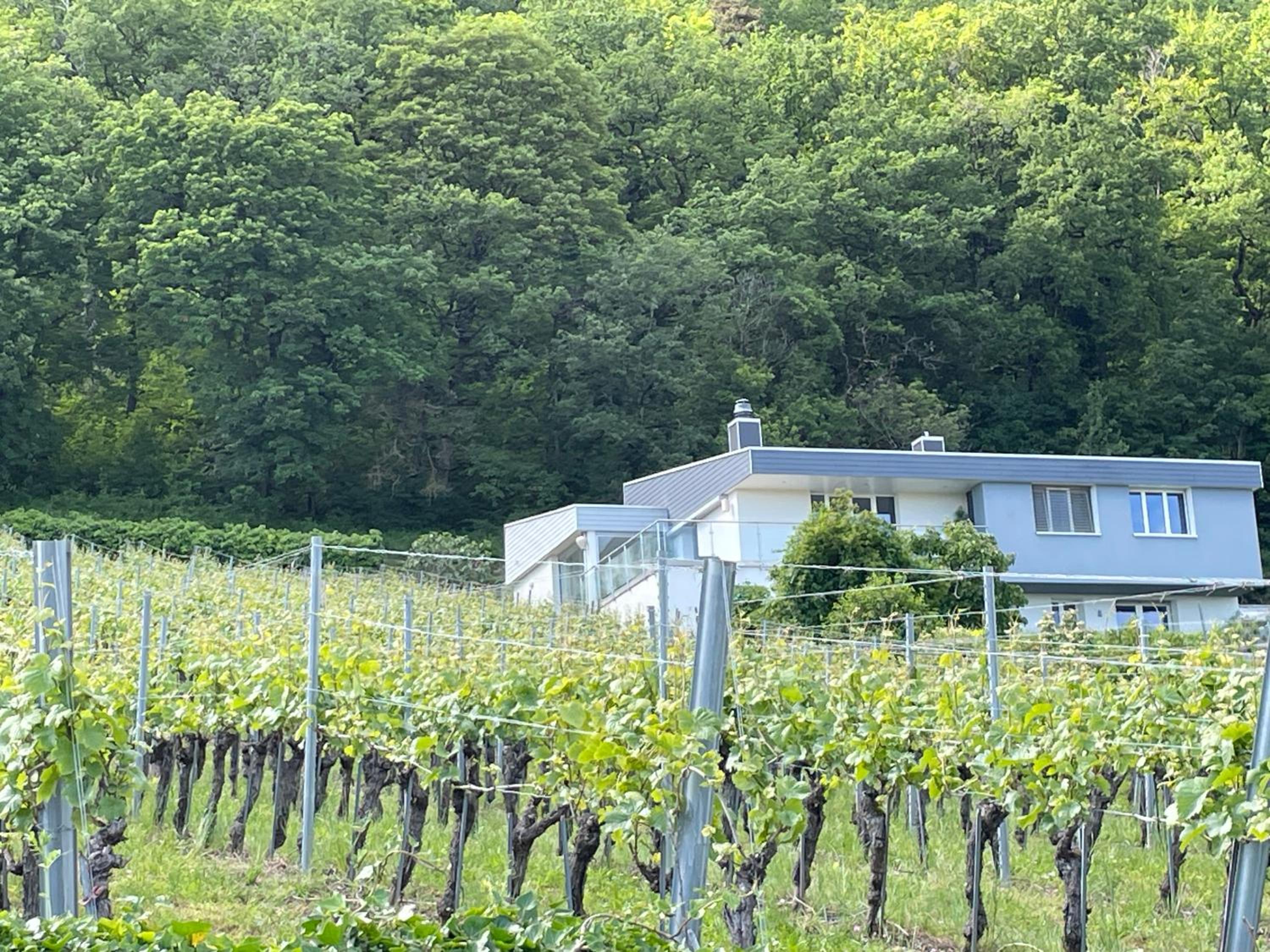 Chambre d'hôtes des Rochettes