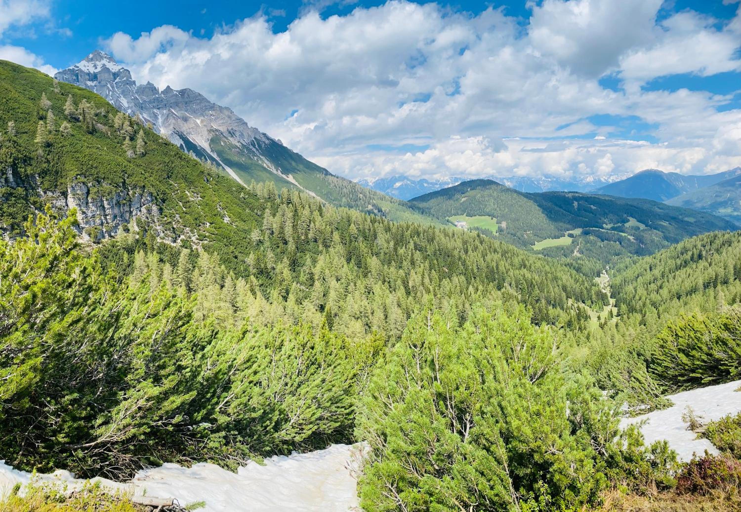 Waldrast Natur Resort