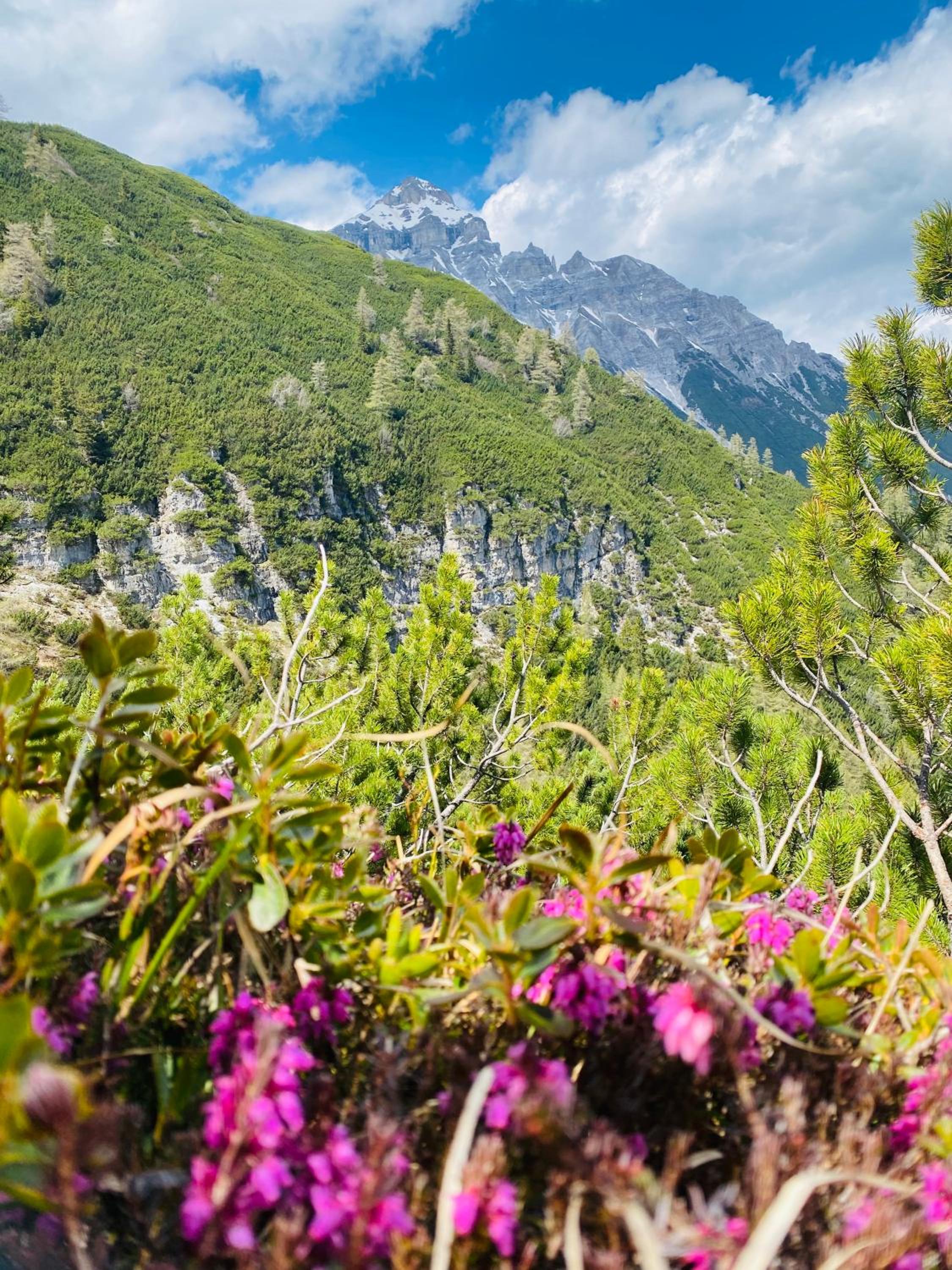 Waldrast Natur Resort