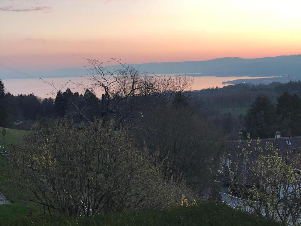 Petite maison à l'orée des bois vue magnifique sur le lac zenitude et plénitude