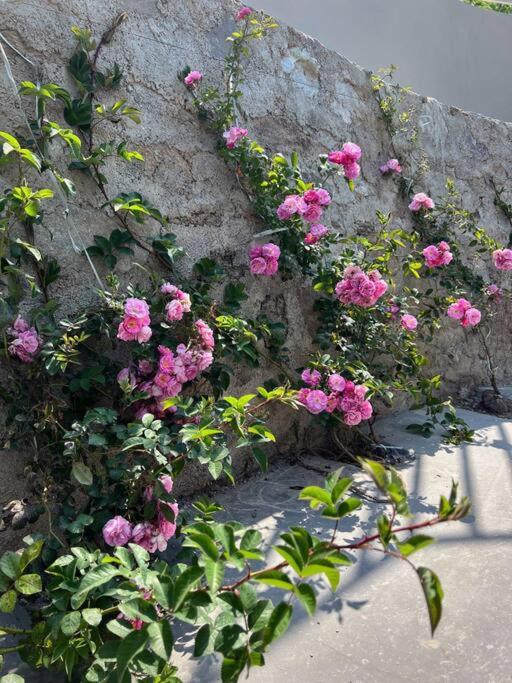 Bookmark Homestay, Entire Home Near Mukteshwar