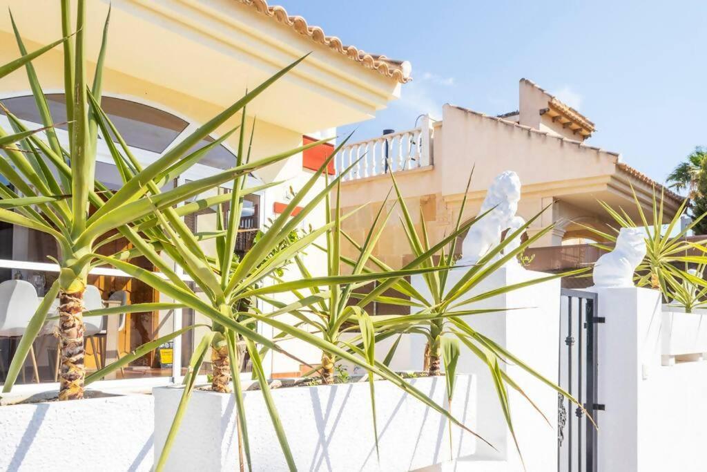 Villa Pink Villamediterraneo