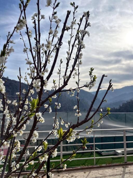 Bookmark Homestay, Entire Home Near Mukteshwar