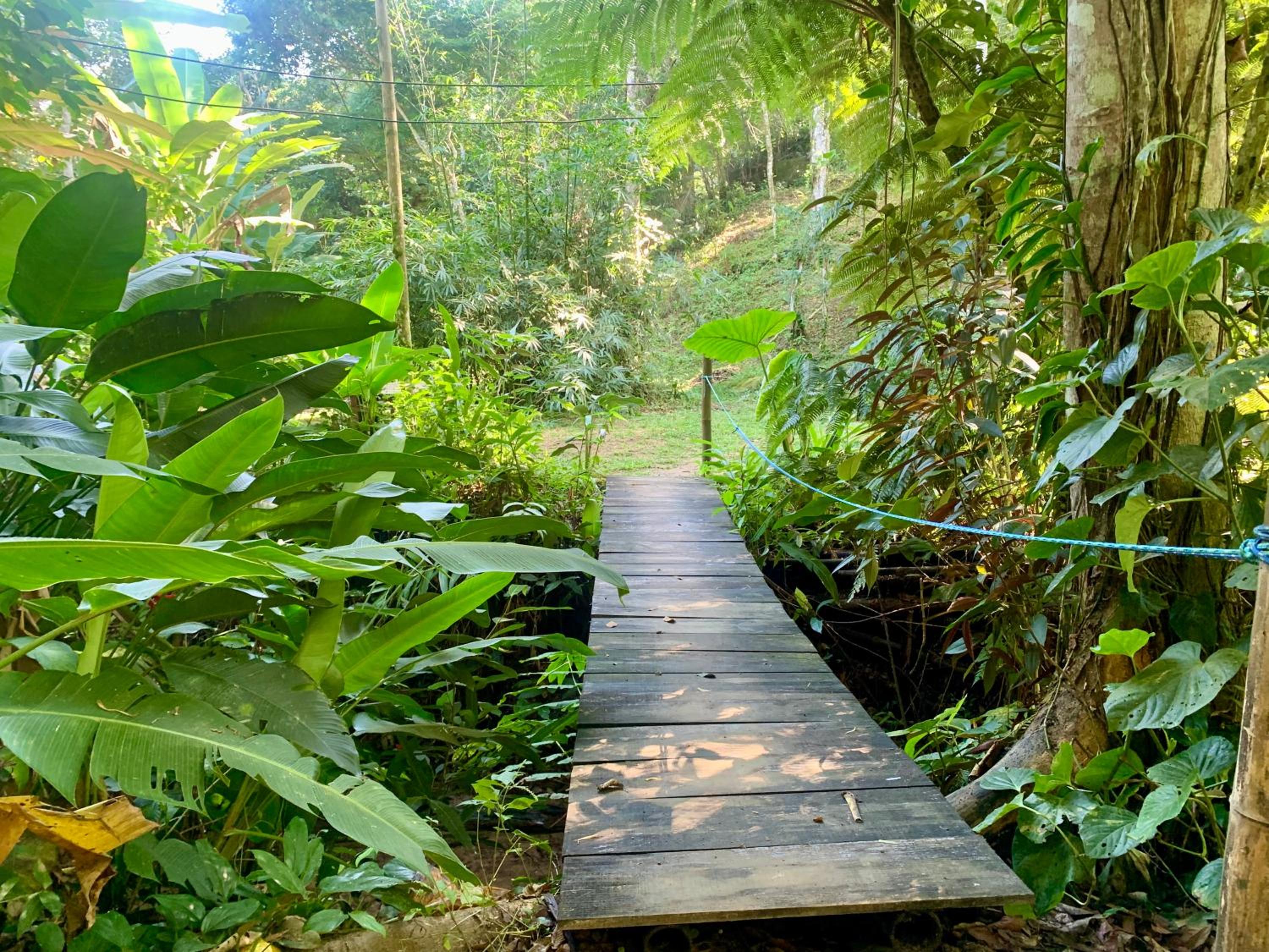 Eco Cabana a 150 metros da praia e centrinho