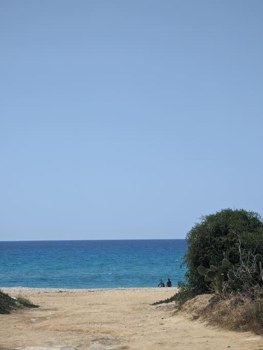 Dar soufia