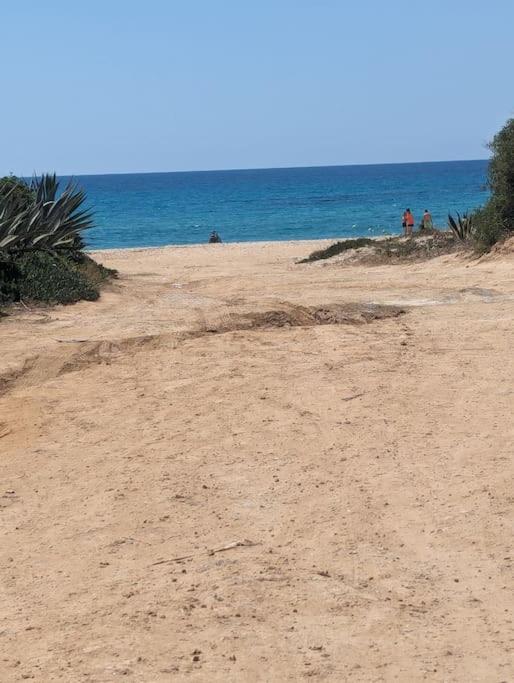 Dar soufia