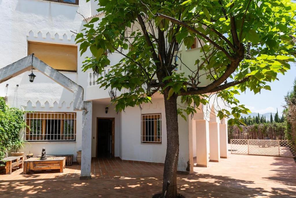 Casa con Piscina