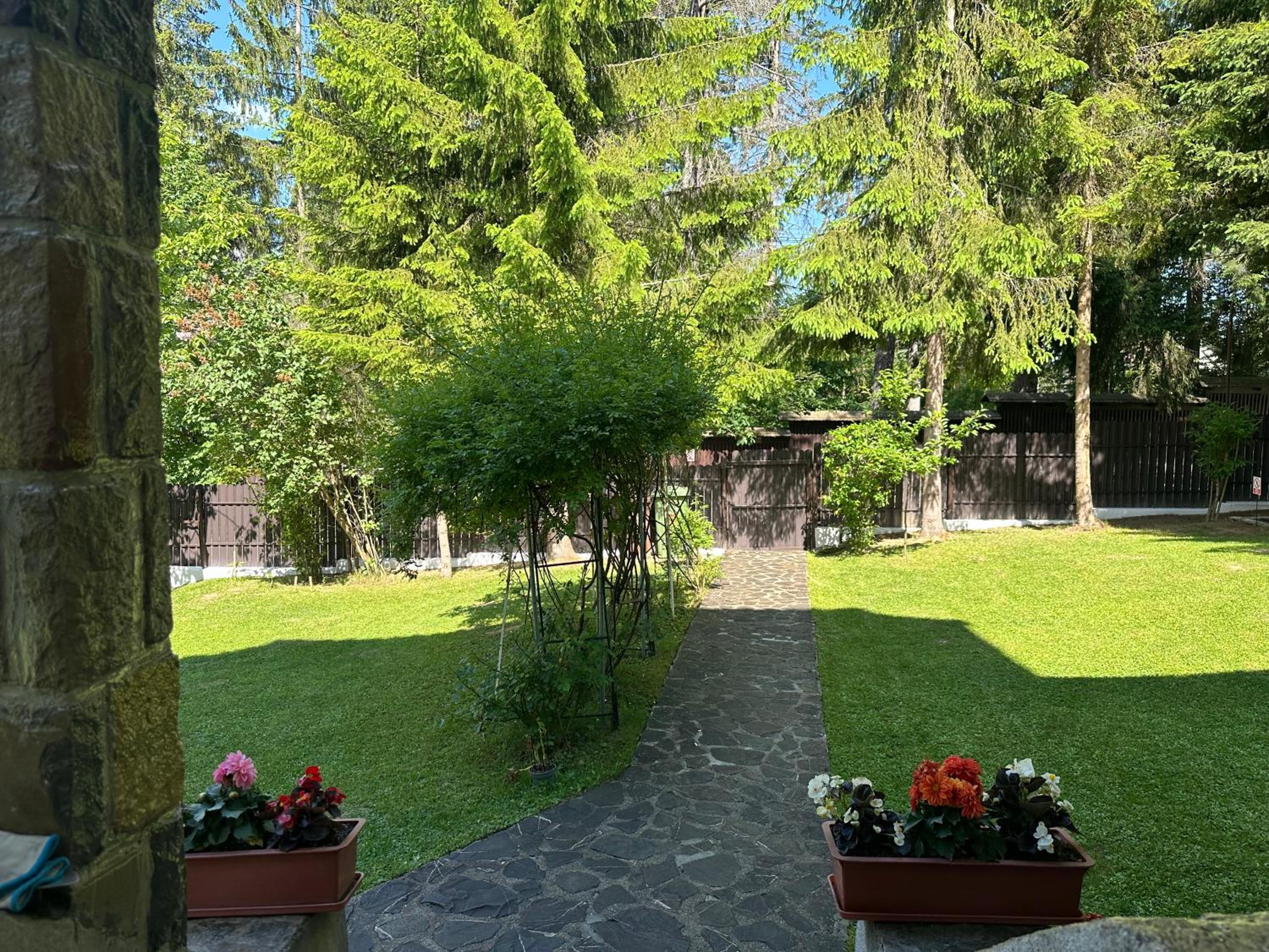 Photo 38
