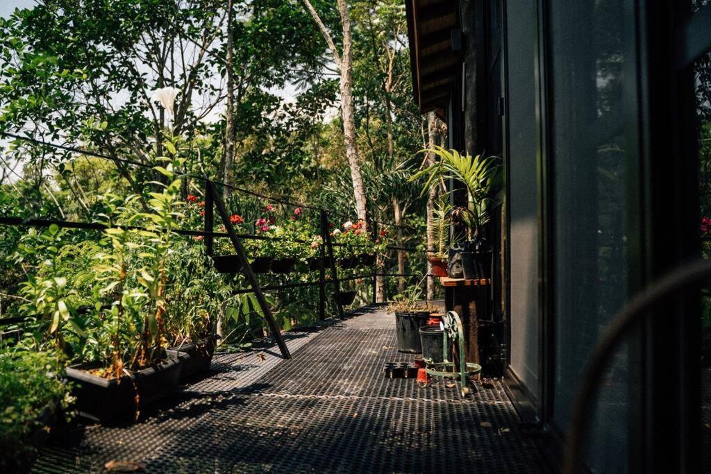 Bananal - SP, Serra da Bocaina - duas horas do Rio quatro de São Paulo