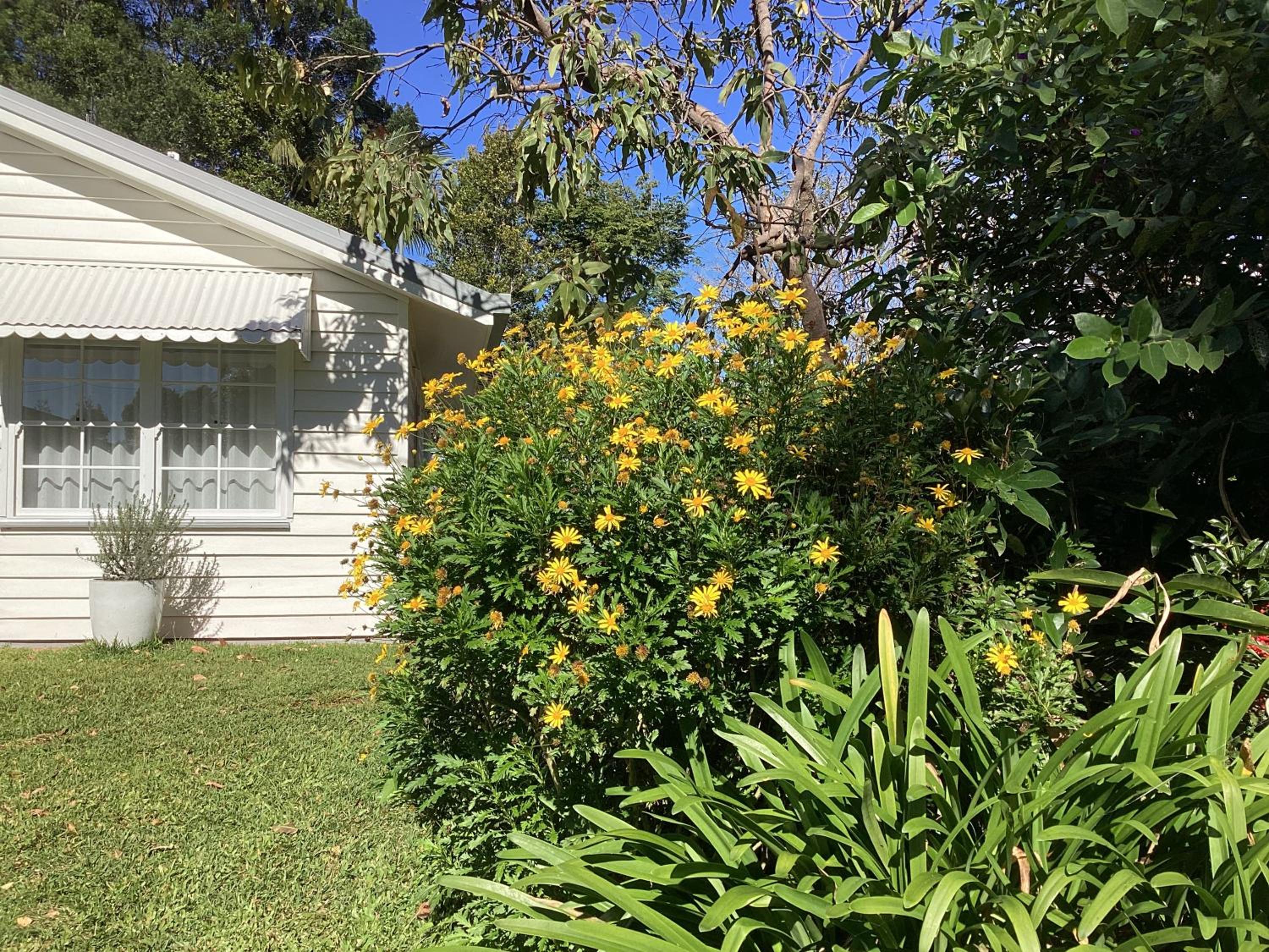 Parker Cottage