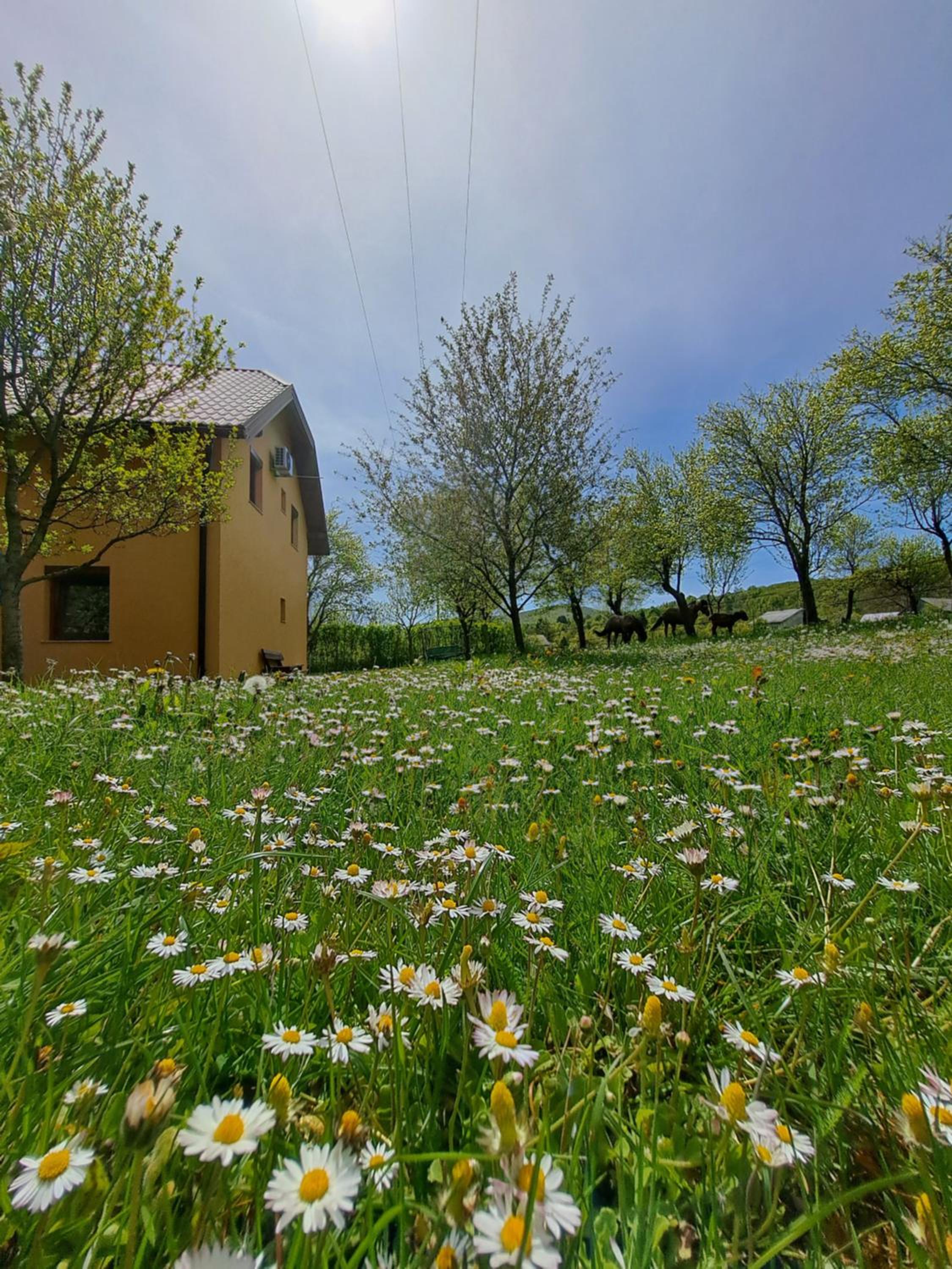 St George B&B