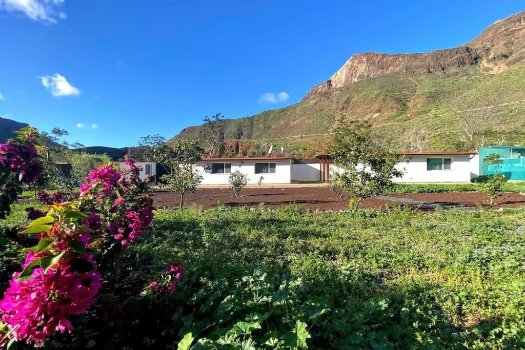 Finca Apartment near Maspalomas