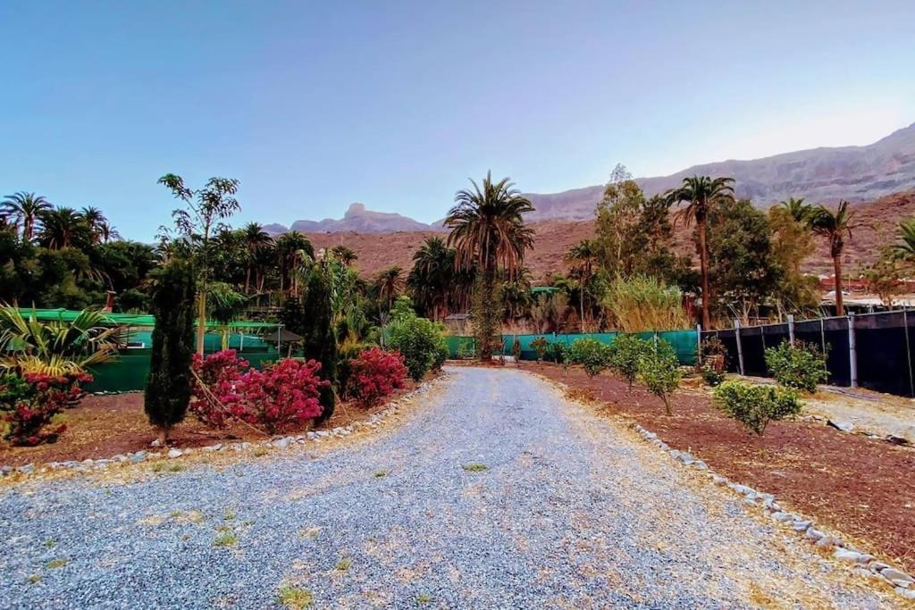 Finca Apartment near Maspalomas