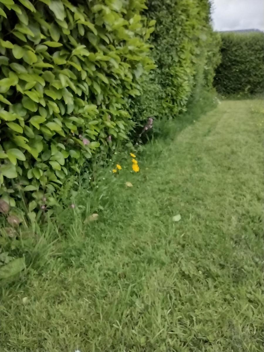 Photo 25