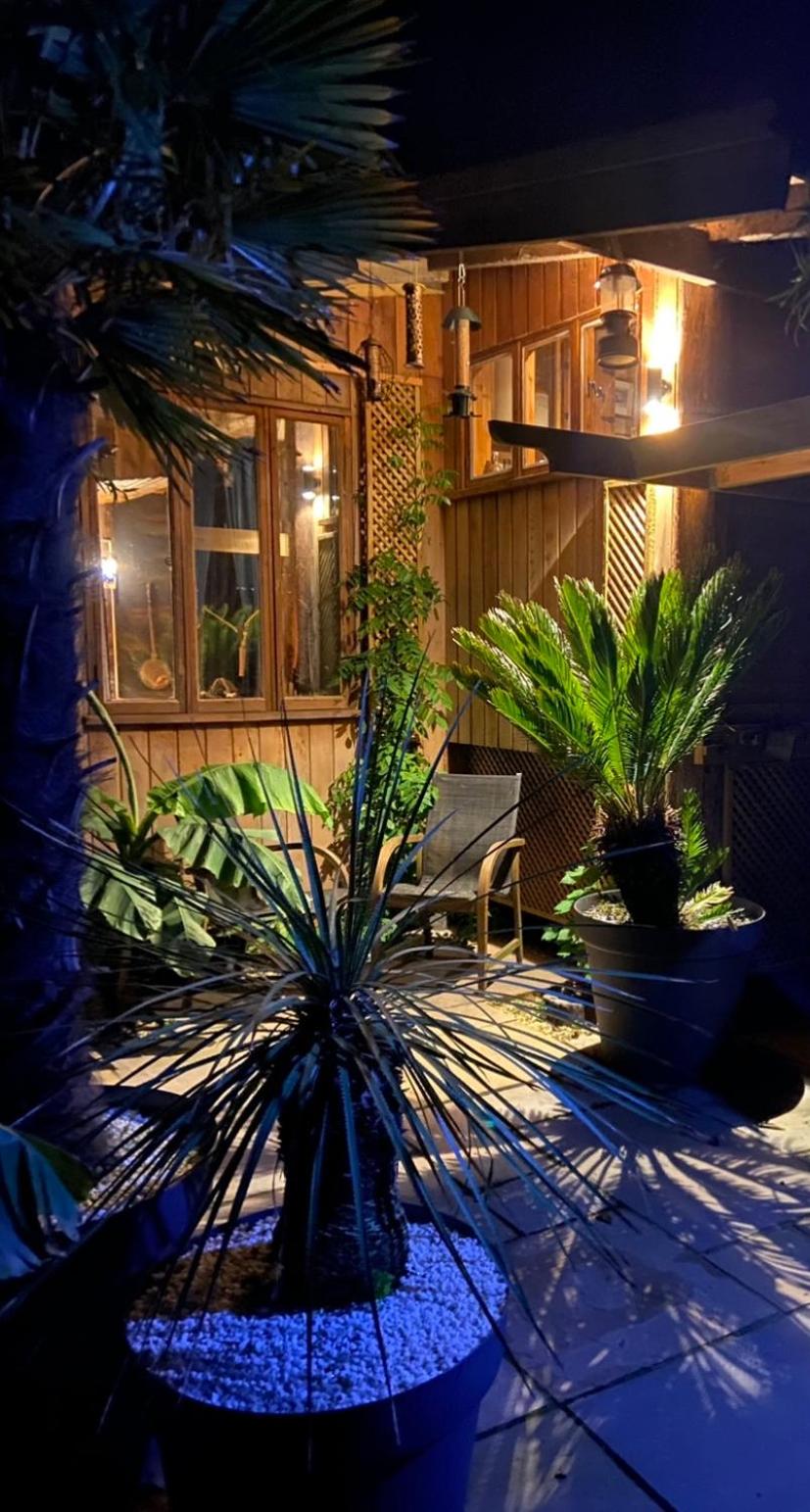Photo 19