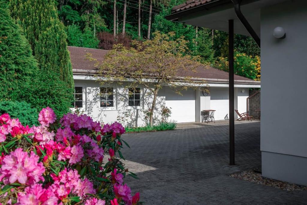 vila Karolína