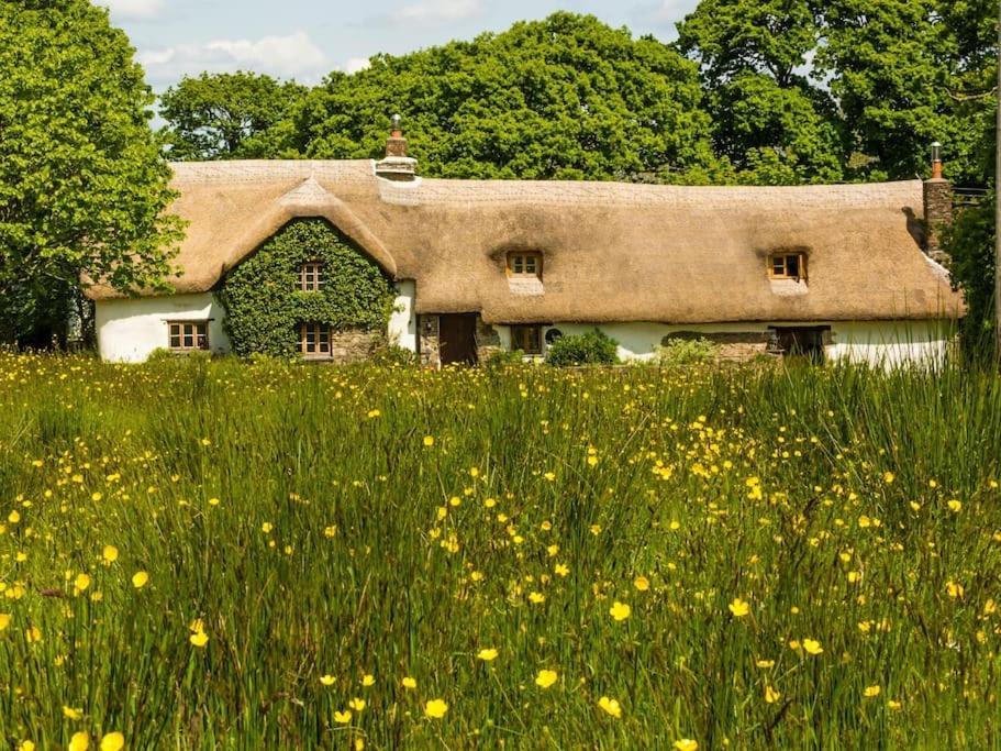 Hay Meadow Farm, Cosy Thatched Holiday Cottage view 3