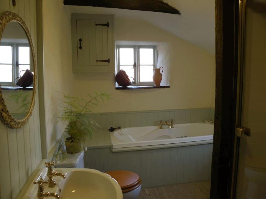 Hay Meadow Farm, Cosy Thatched Holiday Cottage view 4