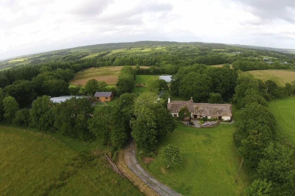 Hay Meadow Farm, Cosy Thatched Holiday Cottage view 5