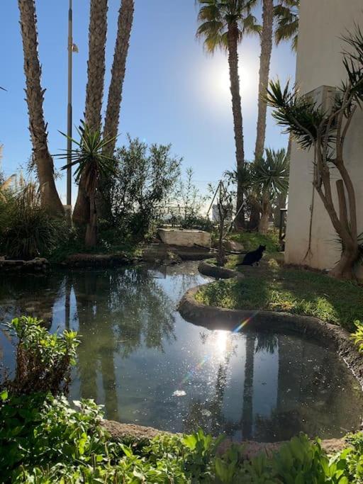 Casa Aurora Beach Apartment first sea line