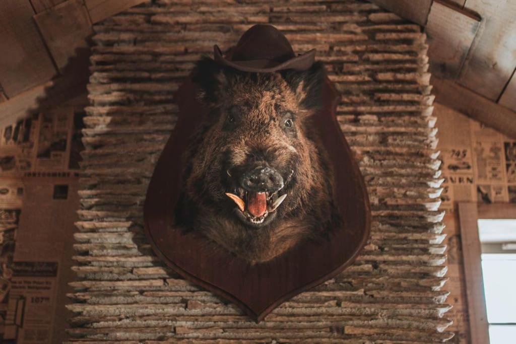 Bude Vacations - Still House - Property Image 37