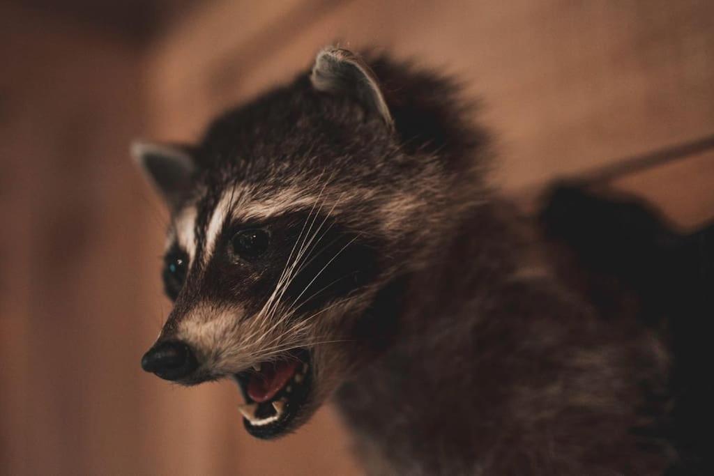 Bude Vacations - Still House - Property Image 18