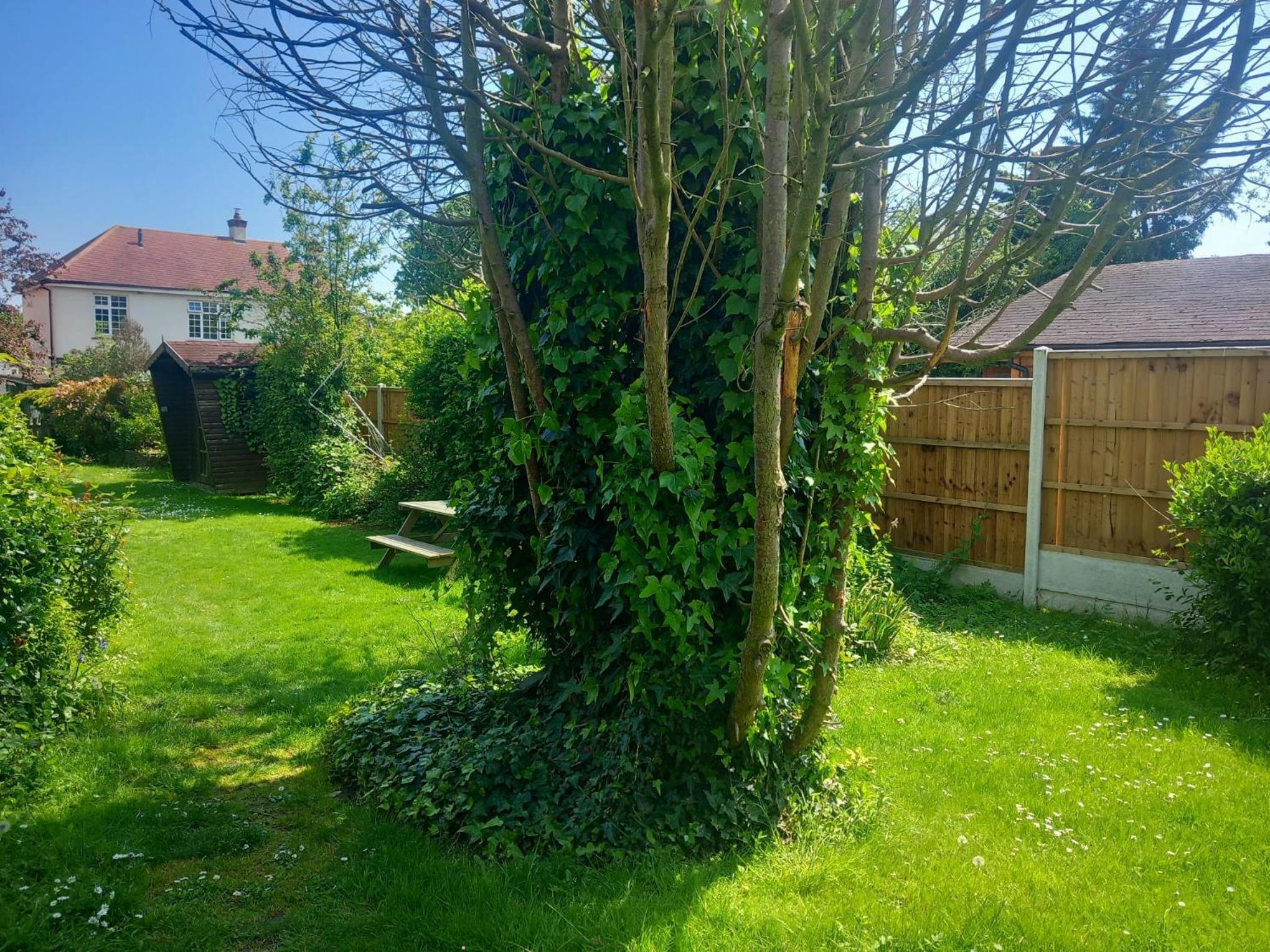 Photo 12