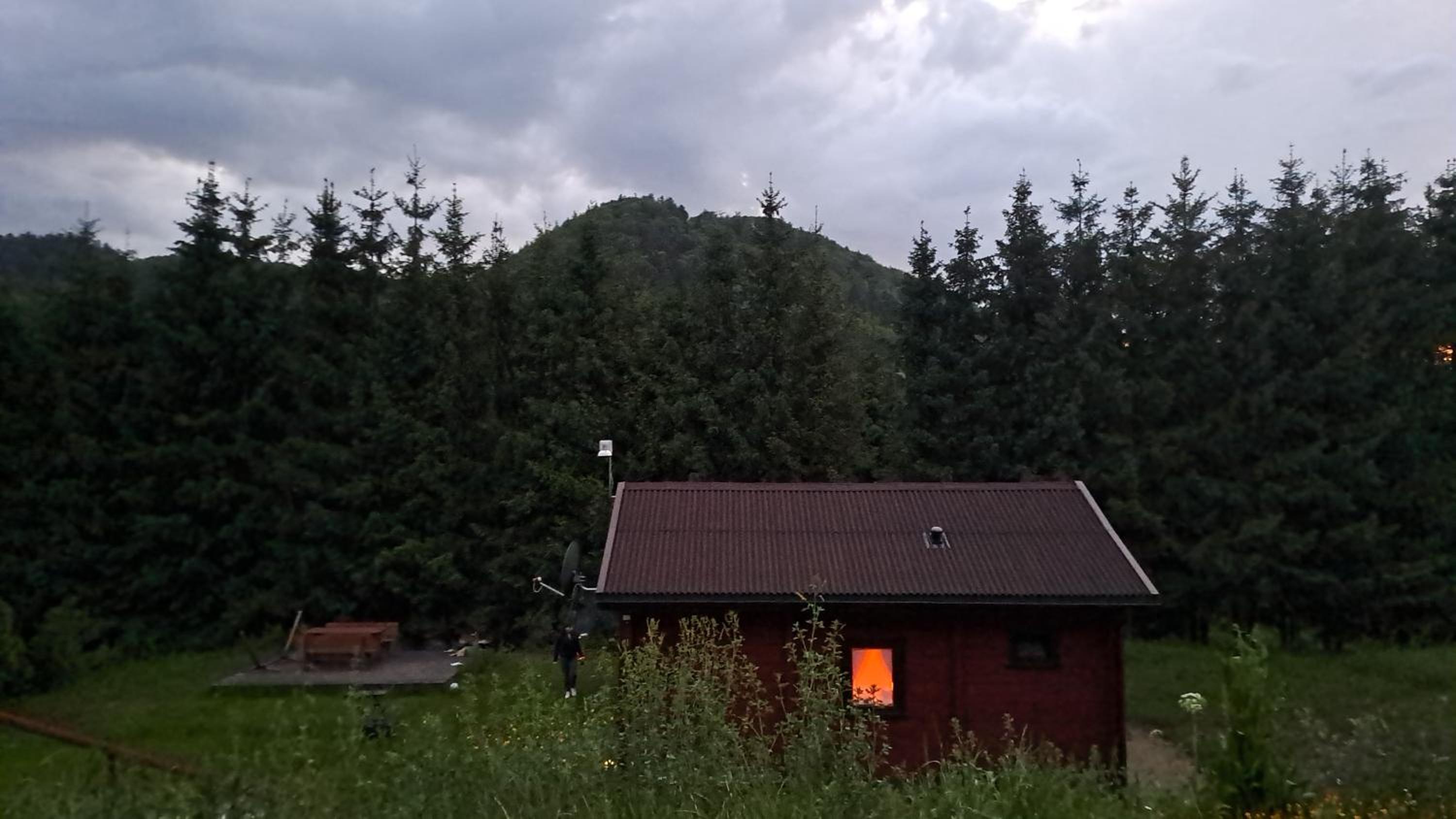 Photo 61