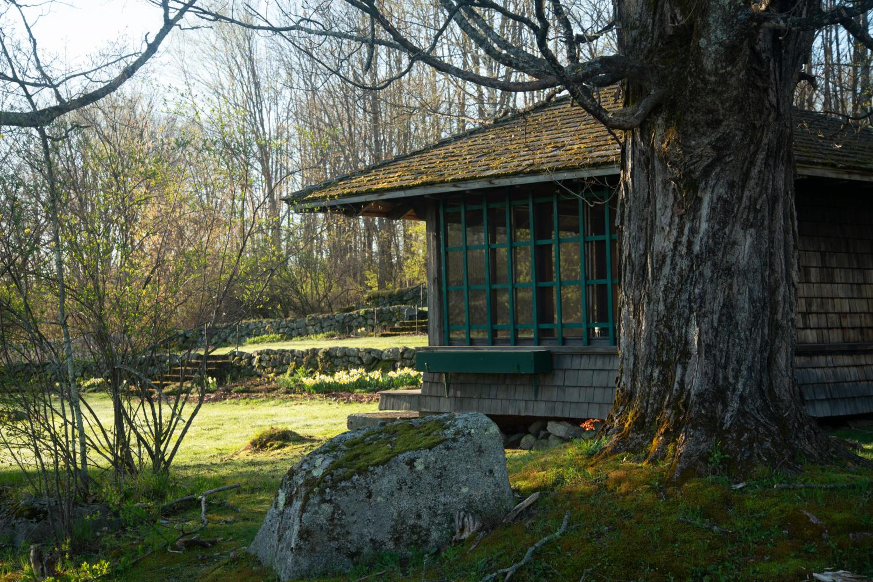 Photo 25